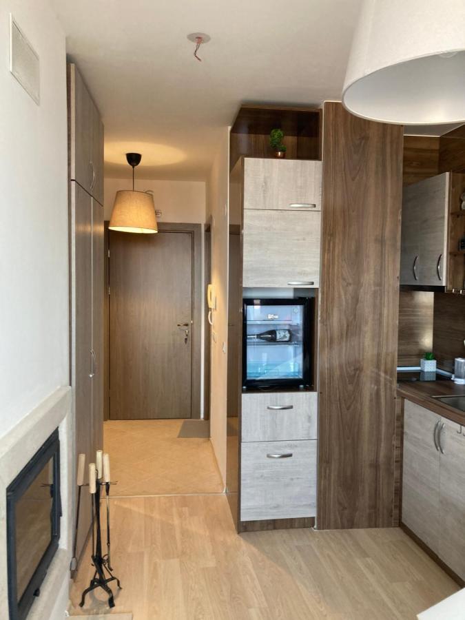 Mirabell Studio Bansko - Amazing View & Fireplace Zewnętrze zdjęcie